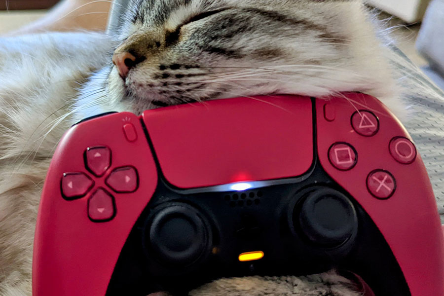 Baxter holds up TheDaddyShacks PS5 Controller